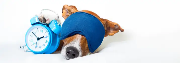 The Power Of Sleep: Why Rest Is Essential For Injury Recovery In Rock Hill SC
